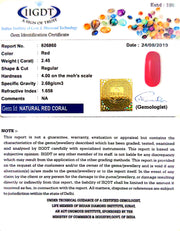 2.45/CT Natural Italian Moonga